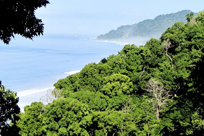 Costa Rica - Entdeckungsreise zu unberührten Nationalparks und lebendiger Kultur - Bild 16