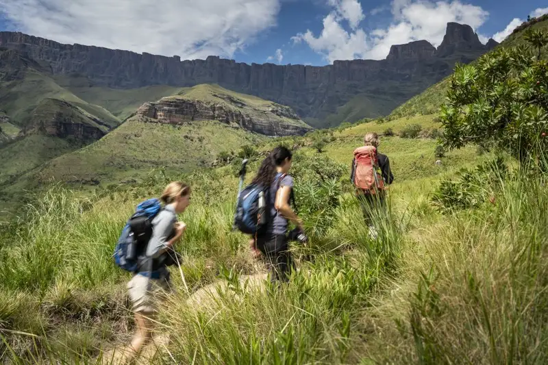 Südafrika - Afrikas Wildnis im Nordosten hautnah erleben - Bild 5