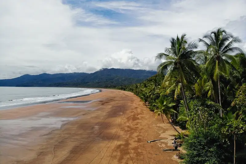 Costa Rica - Entdeckungsreise zu unberührten Nationalparks und lebendiger Kultur - Bild 5