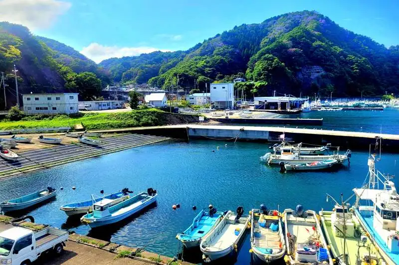 Japan - von Hokkaido bis Tokyo - Bild 10