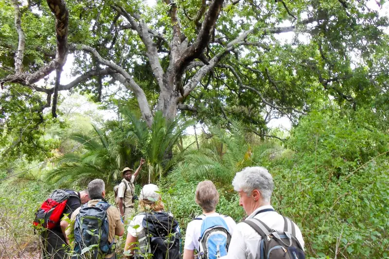 Südafrika - Afrikas Wildnis im Nordosten hautnah erleben - Bild 26