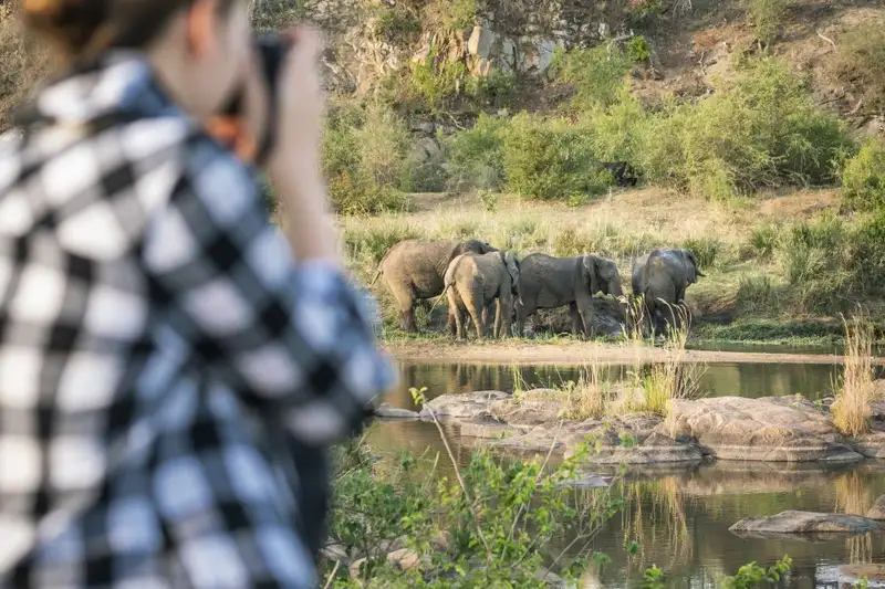 Südafrika - Afrikas Wildnis im Nordosten hautnah erleben - Bild 6