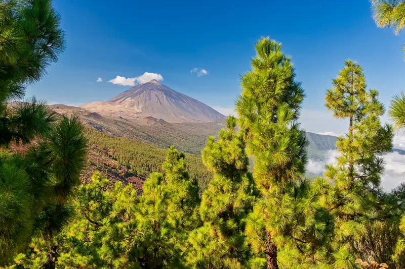 Teneriffa gemütlich erwandern - Bild 2