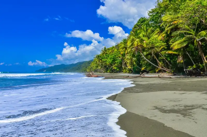 Costa Rica - Entdeckungsreise zu unberührten Nationalparks und lebendiger Kultur - Bild 2