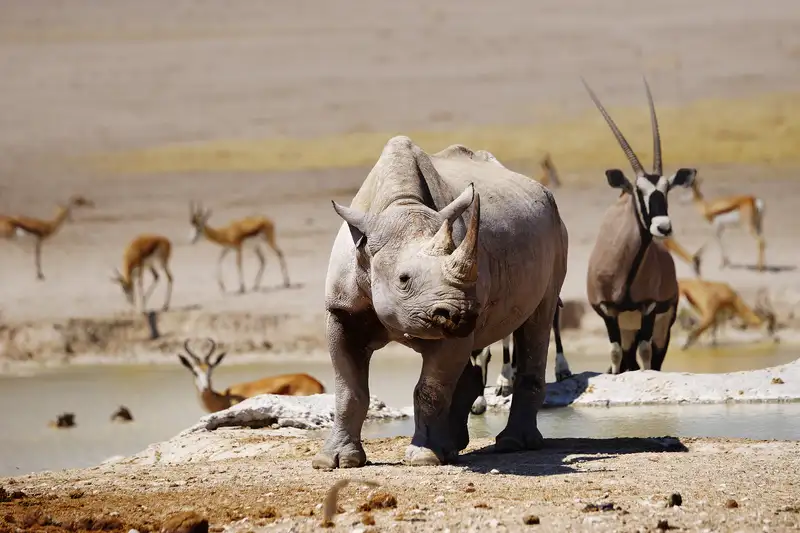 Namibia komfortabel erwandern - Bild 13