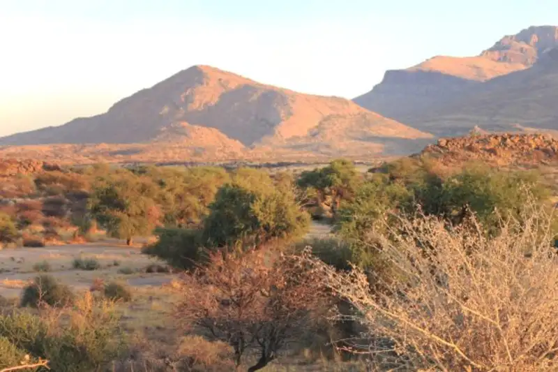 Namibia & Botswana - Tiervielfalt zwischen Wüstenbergen und Flussoasen - Bild 4
