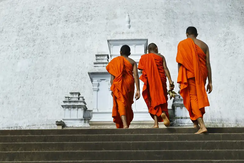 Sri Lankas Highlights erleben – Aktivreise durch Kultur und Natur - Bild 5