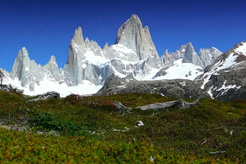 W-Trek Patagonien: Individuelle Trekkingreise Chile - Bild 8