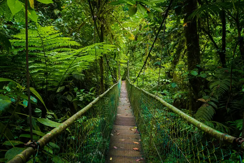 Costa Rica für Singles und Alleinreisende - Bild 6