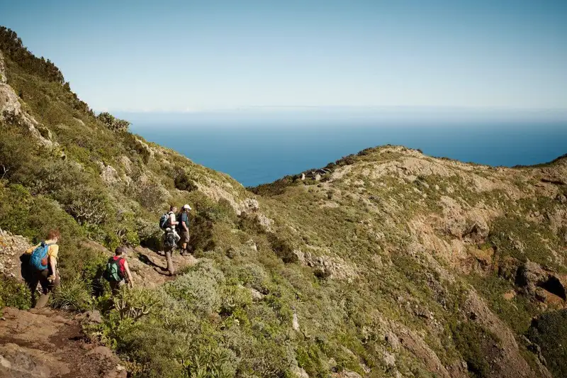 Die Highlights Teneriffas erwandern - Bild 5