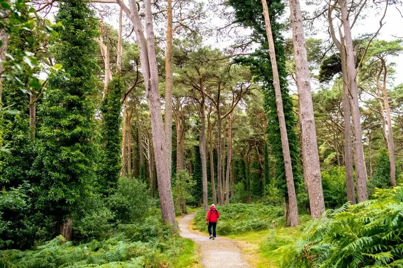 Irlands Highlights erwandern - Bild 7