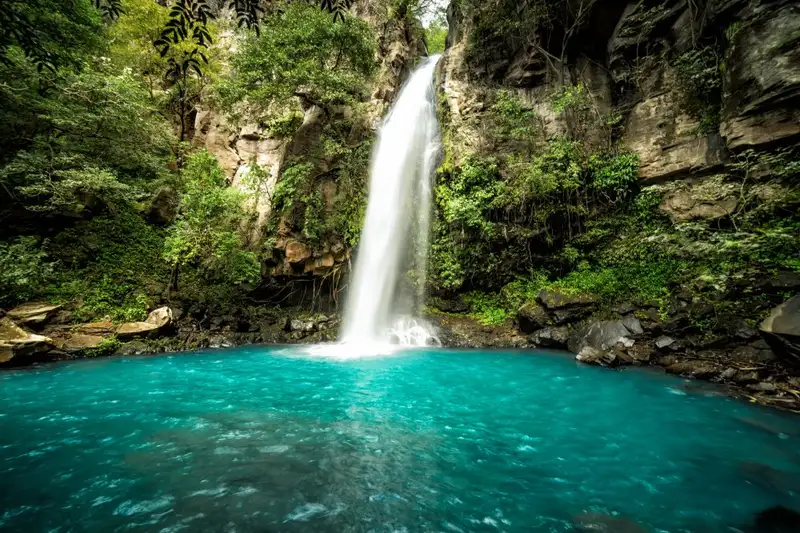 Costa Rica - Entdeckungsreise zu unberührten Nationalparks und lebendiger Kultur - Bild 6