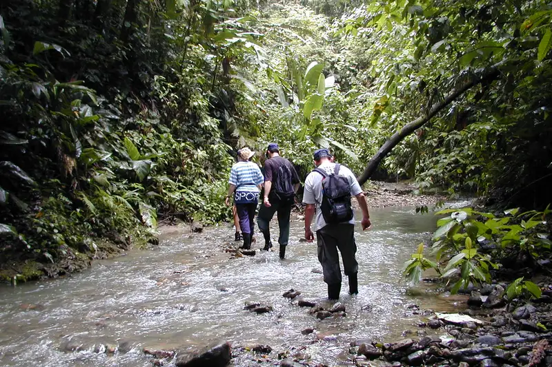 Costa Rica naturnah erwandern - Bild 6