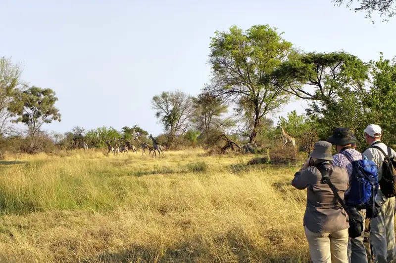 Südafrika - Afrikas Wildnis im Nordosten hautnah erleben - Bild 10