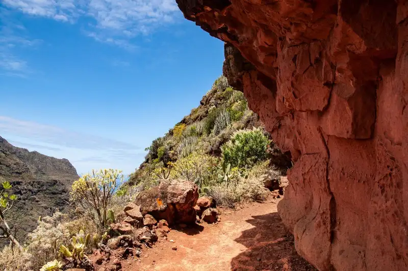 Teneriffa gemütlich erwandern - Bild 3