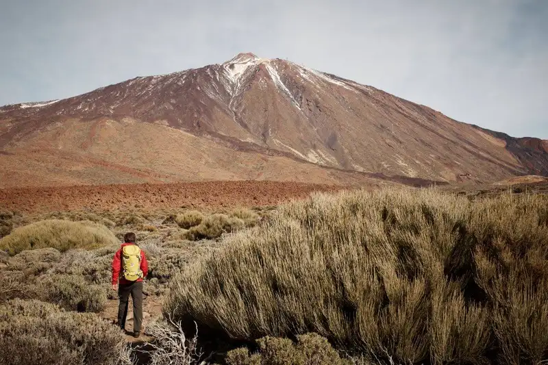 Die Highlights Teneriffas erwandern - Bild 4