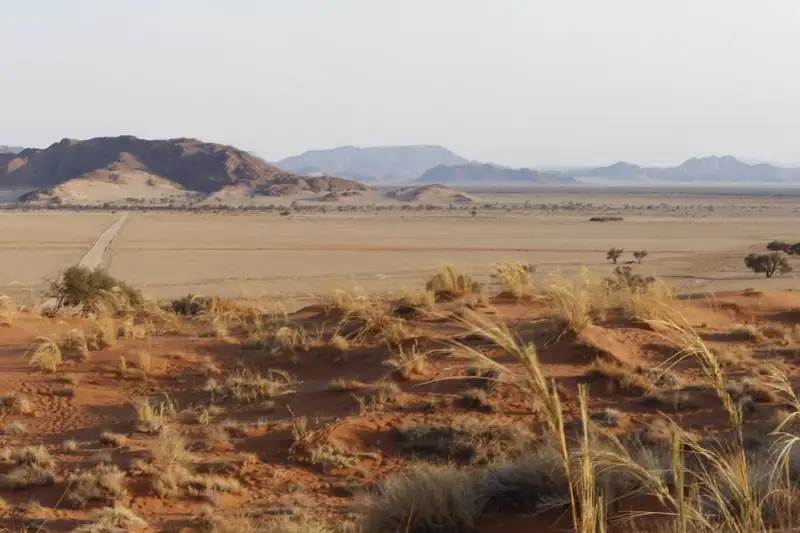 Namibias Naturwunder: Farbenpracht und grenzenlose Weite - Bild 10