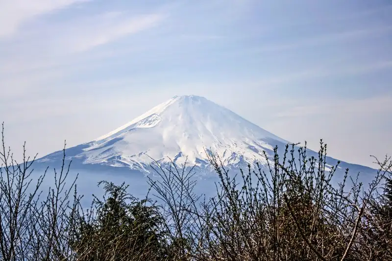 Japan: Kirschblüte oder Herbstlaub zaubern Farbenwunder - Bild 4