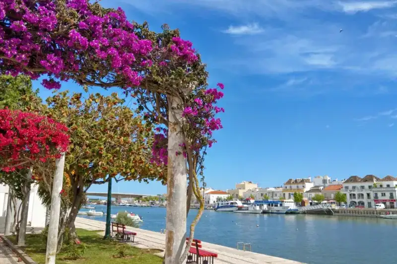 Individuelle Küstenwanderung an der Algarve - Bild 2