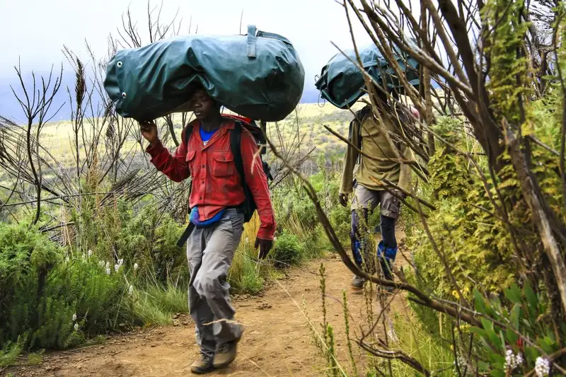 Kilimanjaro: Marangu-Route - Bild 9