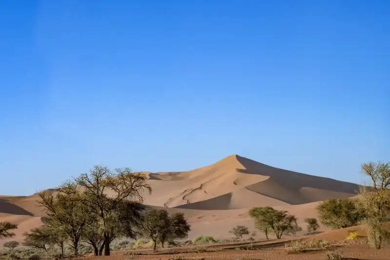 Namibia - die Wunderwelt der Wüsten - Bild 3