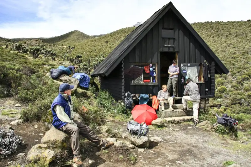 Kilimanjaro: Marangu-Route - Bild 5