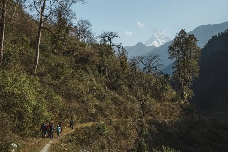 Nepal – Annapurna Panorama Lodge-Trek - Bild 12