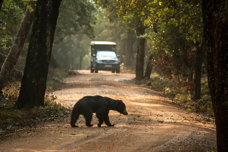 Sri Lankas Highlights erleben – Aktivreise durch Kultur und Natur - Bild 10
