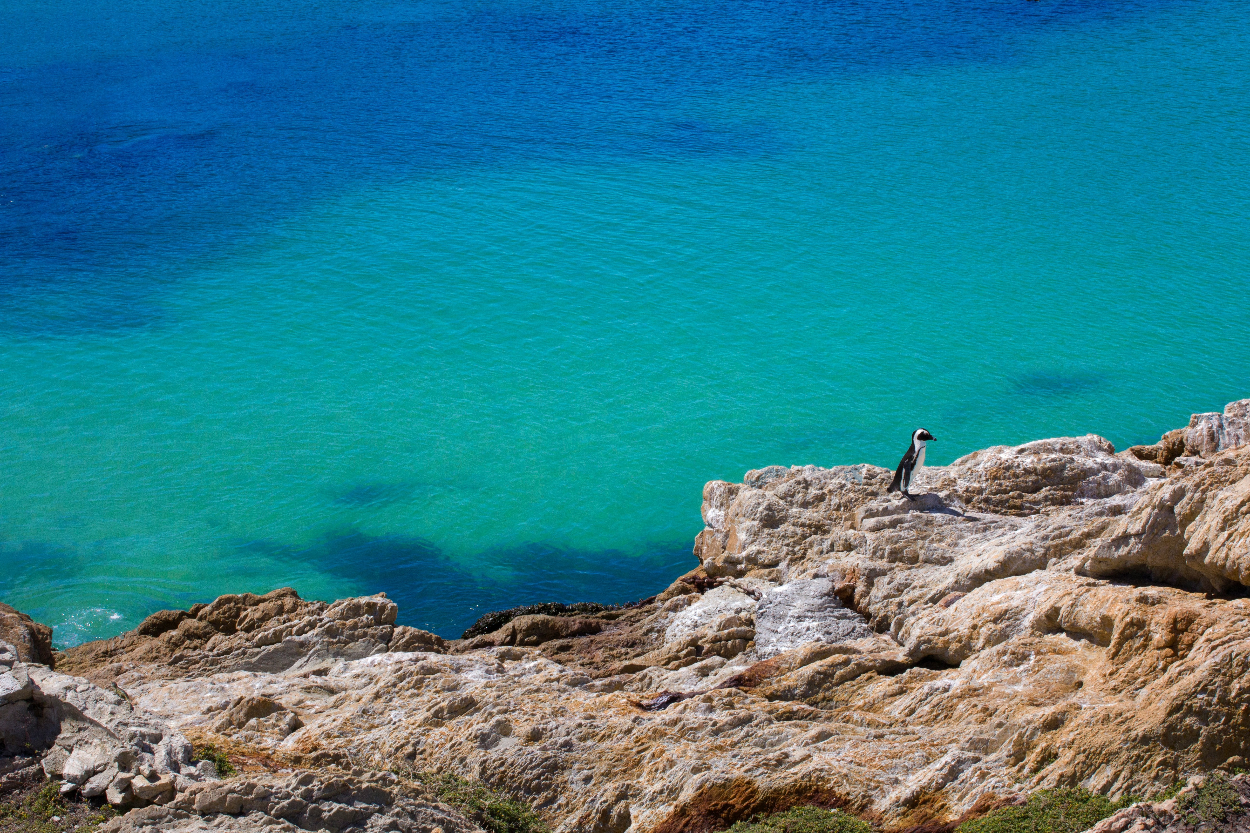 Garden Route Südafrika – die schönsten Wanderungen und Highlights entlang der Küste - Alpenstieg Blog Beitrag