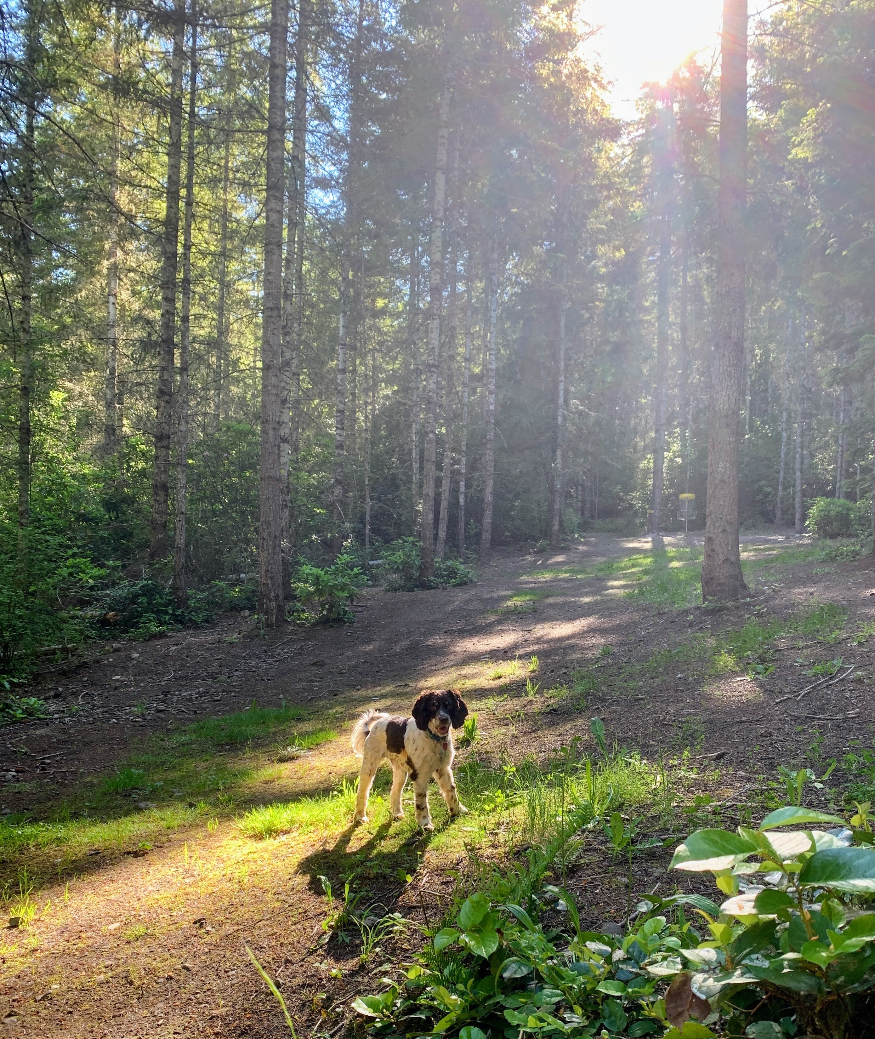 Ob Genusswanderung oder Alpenüberquerung – entdecken Sie unsere Wanderreisen mit Hund