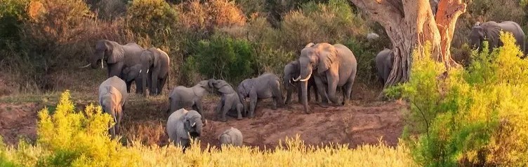 Südafrika - Alpenstieg
