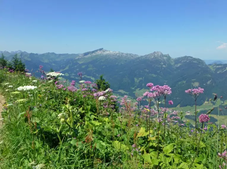 Allgäu Panorama