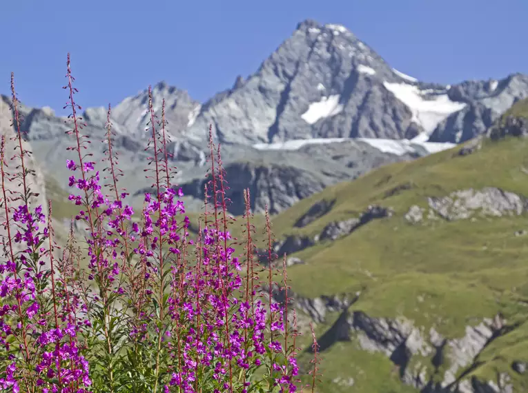 Genießen Sie die Schönheit der Alpen unbeschwert – Ihr Gepäck wartet bereits im nächsten Hotel auf Sie