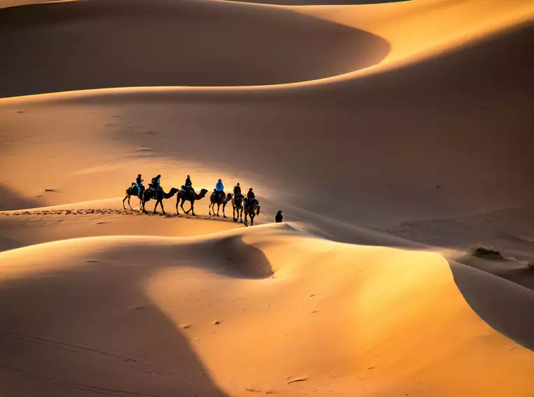 Kameltrekking in der Sahara – unterwegs durch endlose Sanddünen