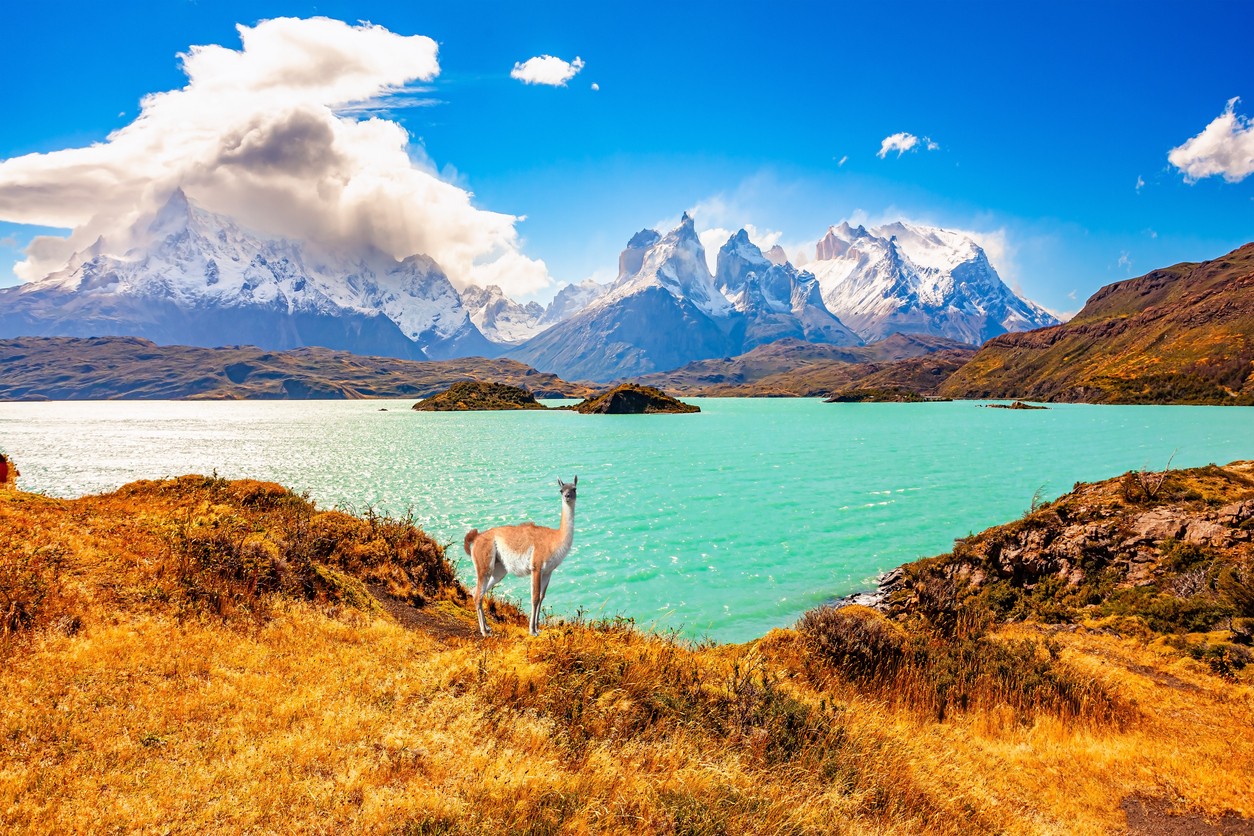 Beste Reisezeit für Patagonien – wann lohnt sich eine Trekkingreise? - Alpenstieg Blog Beitrag