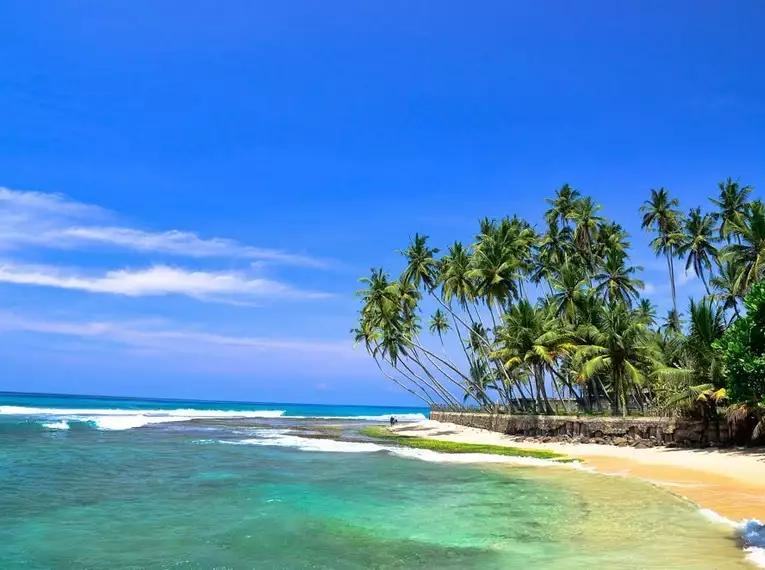 Palmenstrand und Meer an Sri Lankas Küste