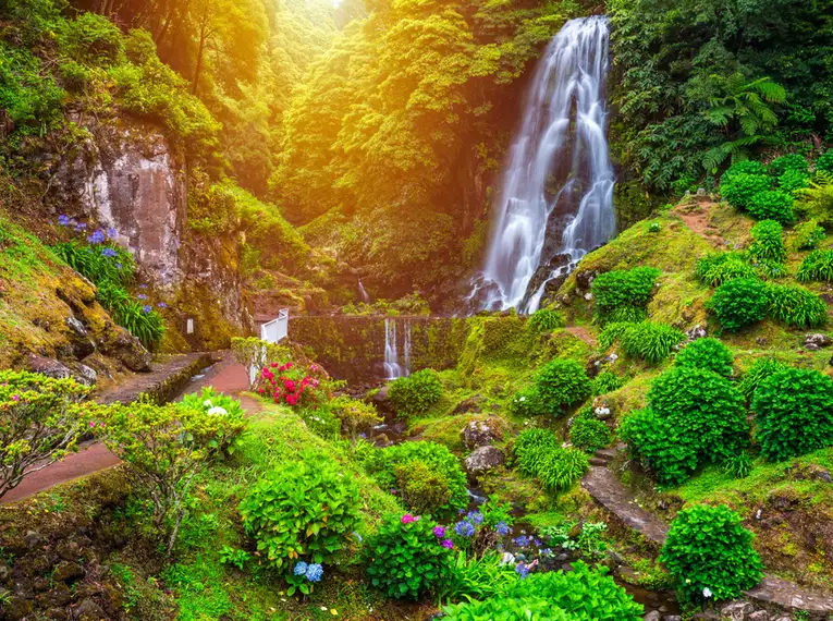 Üppiges Grün auf den Azoren